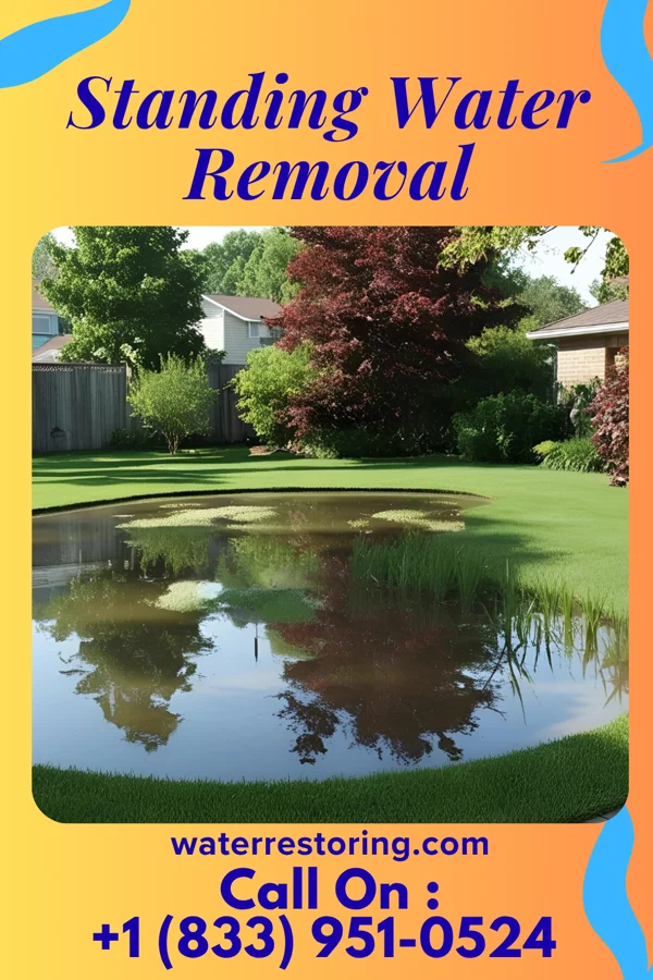 Standing Water Removal in James City, NC